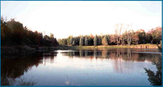 World Peace Diet Retreat Lake2