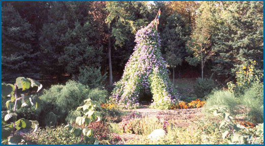 World Peace Diet retreat - gardens